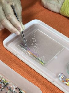 IMG_8644